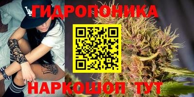 бошки Волгодонск