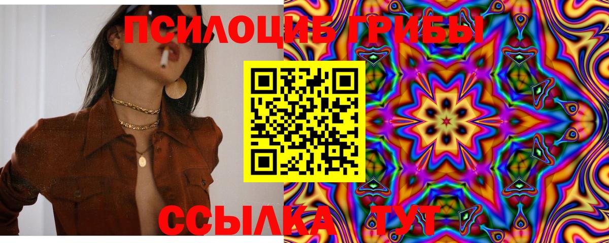 Галлюциногенные грибы прущие грибы Усолье-Сибирское
