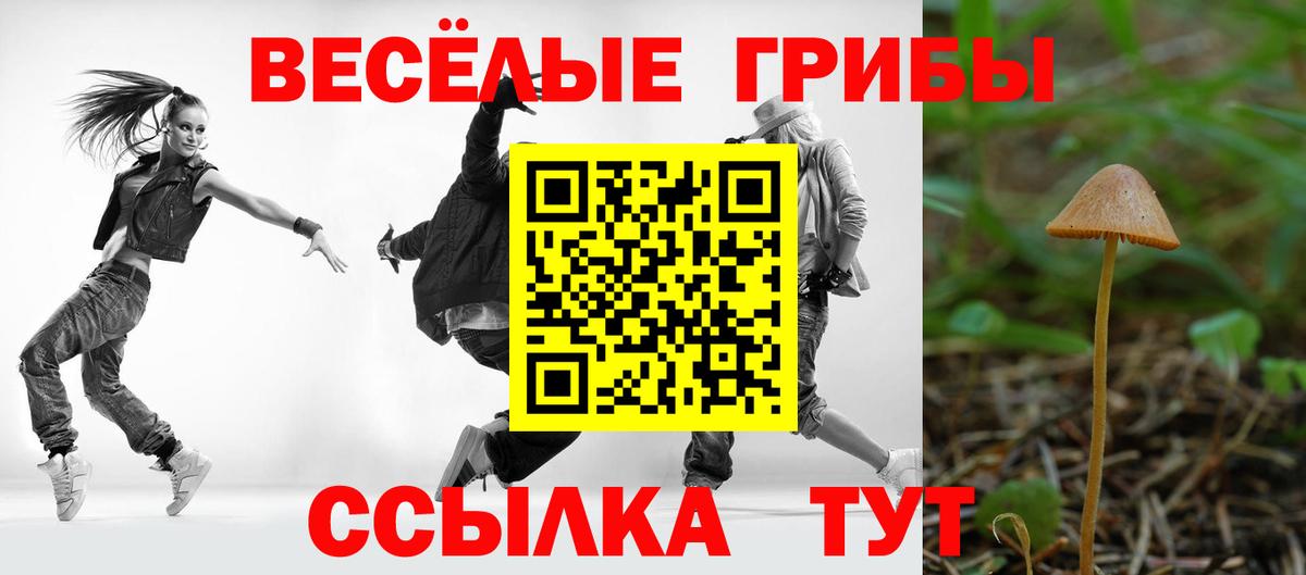 Усолье-Сибирское  Галлюциногенные грибы мицелий  Галлюциногенные грибы ЛСД  Вход с VPN 